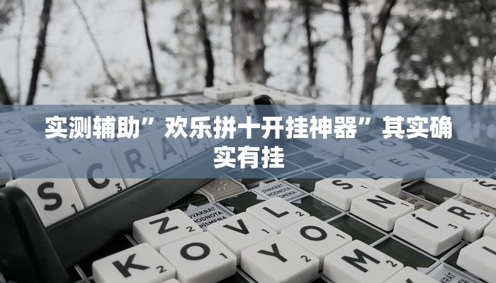 实测辅助”欢乐拼十开挂神器”其实确实有挂