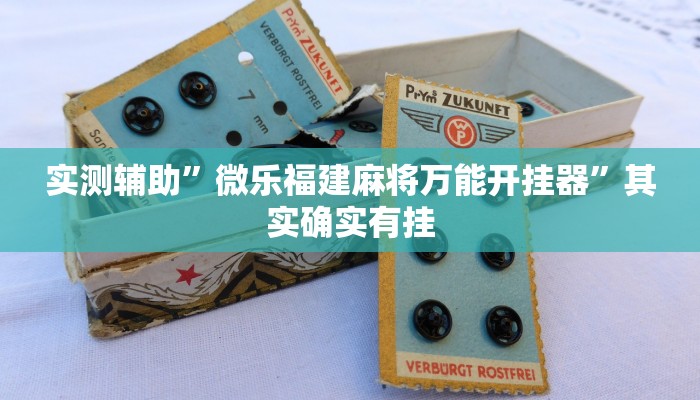 实测辅助”微乐福建麻将万能开挂器”其实确实有挂