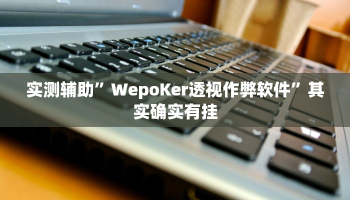 实测辅助”WepoKer透视作弊软件”其实确实有挂