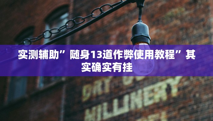 实测辅助”随身13道作弊使用教程”其实确实有挂