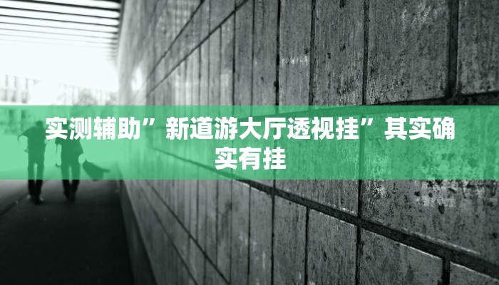 实测辅助”新道游大厅透视挂”其实确实有挂