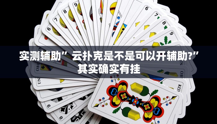 实测辅助”云扑克是不是可以开辅助?”其实确实有挂