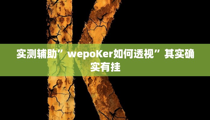 实测辅助”wepoKer如何透视”其实确实有挂