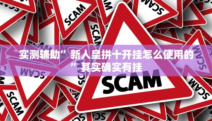 实测辅助”新人皇拼十开挂怎么使用的”其实确实有挂