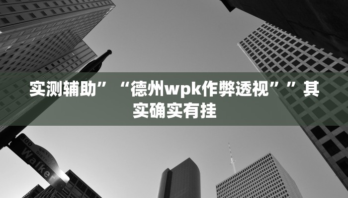实测辅助”“德州wpk作弊透视””其实确实有挂