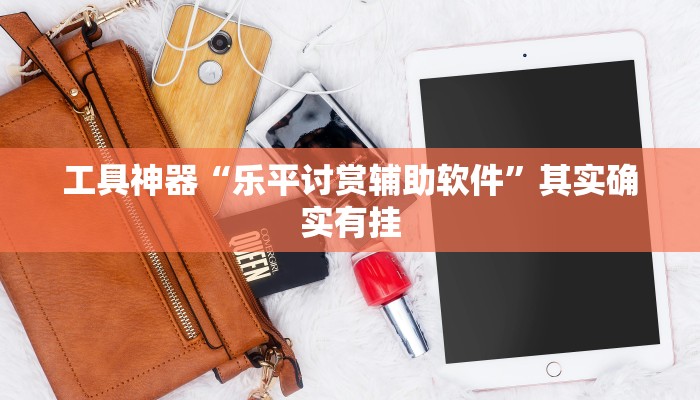 工具神器“乐平讨赏辅助软件”其实确实有挂