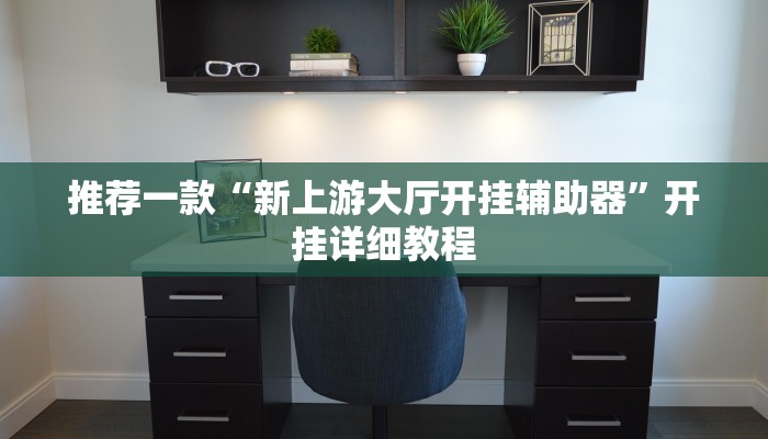 推荐一款“新上游大厅开挂辅助器”开挂详细教程