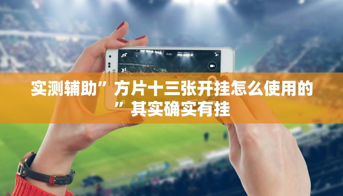 实测辅助”方片十三张开挂怎么使用的”其实确实有挂