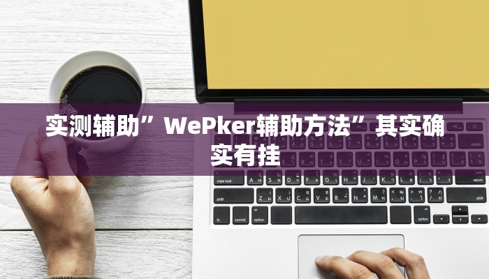 实测辅助”WePker辅助方法”其实确实有挂
