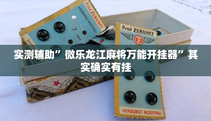 实测辅助”微乐龙江麻将万能开挂器”其实确实有挂