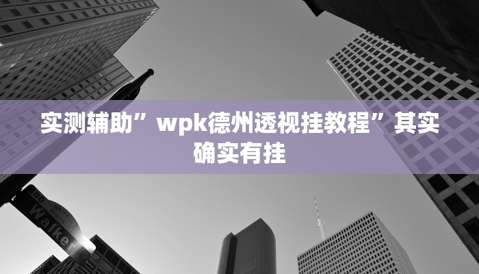 实测辅助”wpk德州透视挂教程”其实确实有挂