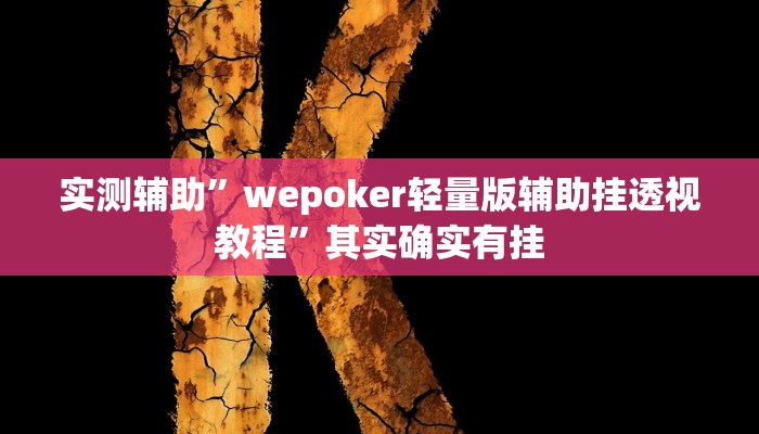 实测辅助”wepoker轻量版辅助挂透视教程”其实确实有挂