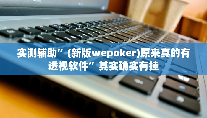 实测辅助”(新版wepoker)原来真的有透视软件”其实确实有挂