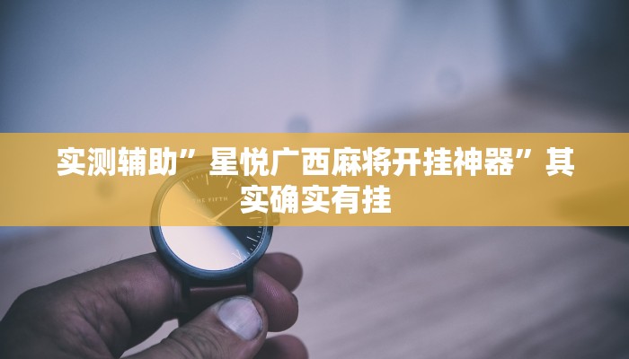 实测辅助”星悦广西麻将开挂神器”其实确实有挂