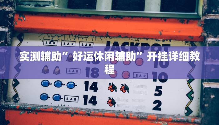 实测辅助”好运休闲辅助”开挂详细教程