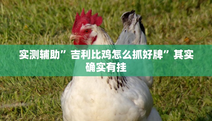 实测辅助”吉利比鸡怎么抓好牌”其实确实有挂