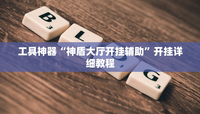 工具神器“神盾大厅开挂辅助”开挂详细教程