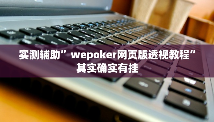 实测辅助”wepoker网页版透视教程”其实确实有挂