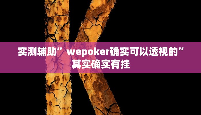 实测辅助”wepoker确实可以透视的”其实确实有挂