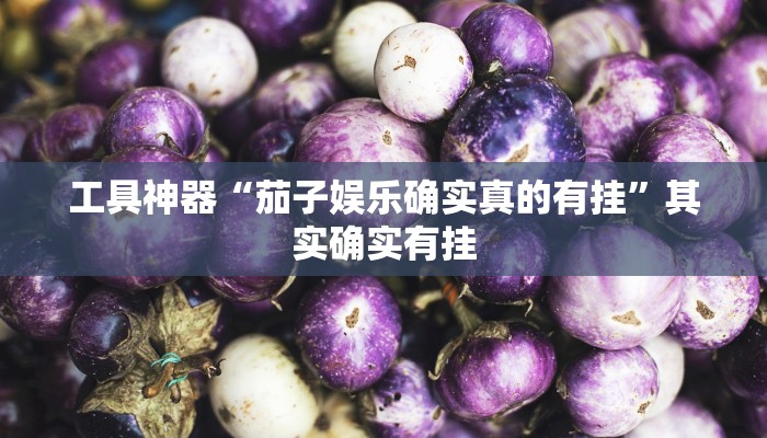 工具神器“茄子娱乐确实真的有挂”其实确实有挂