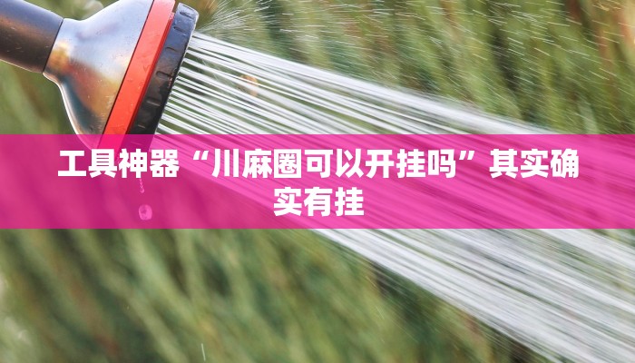 工具神器“川麻圈可以开挂吗”其实确实有挂