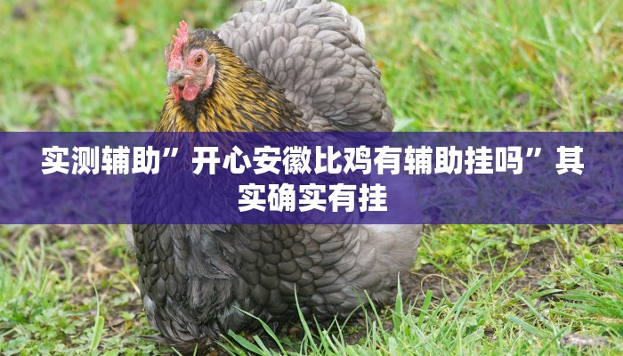实测辅助”开心安徽比鸡有辅助挂吗”其实确实有挂
