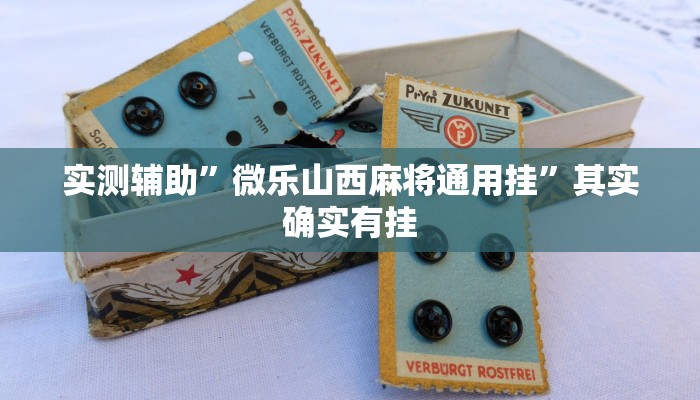 实测辅助”微乐山西麻将通用挂”其实确实有挂