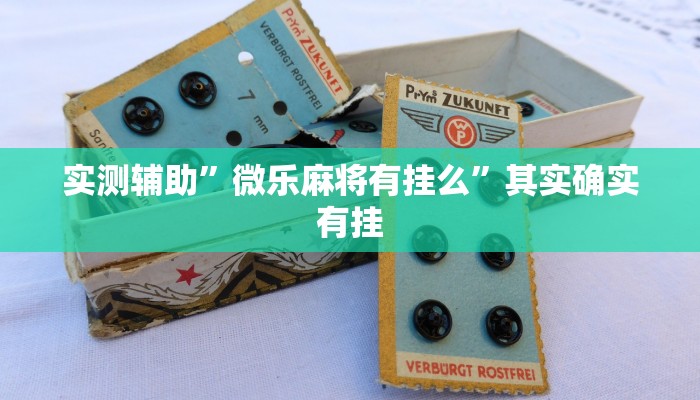 实测辅助”微乐麻将有挂么”其实确实有挂