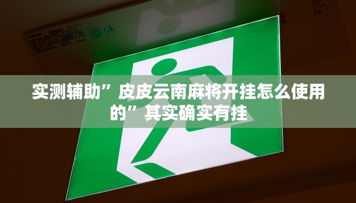 实测辅助”皮皮云南麻将开挂怎么使用的”其实确实有挂