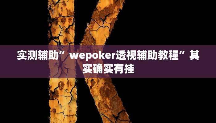 实测辅助”wepoker透视辅助教程”其实确实有挂