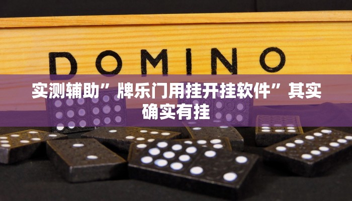 实测辅助”牌乐门用挂开挂软件”其实确实有挂