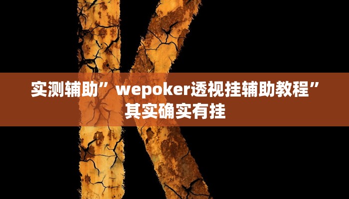 实测辅助”wepoker透视挂辅助教程”其实确实有挂