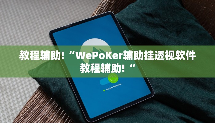 教程辅助!“WePoKer辅助挂透视软件教程辅助!“