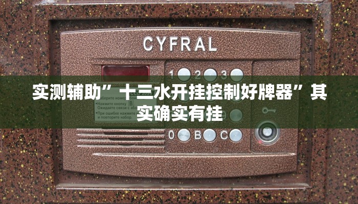 实测辅助”指尖跑得快助赢神器”其实确实有挂