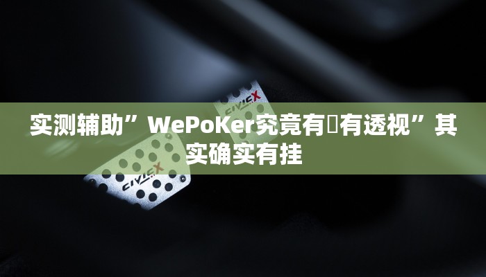 实测辅助”WePoKer究竟有沒有透视”其实确实有挂
