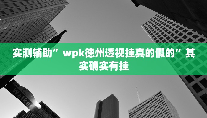 实测辅助”wpk德州透视挂真的假的”其实确实有挂