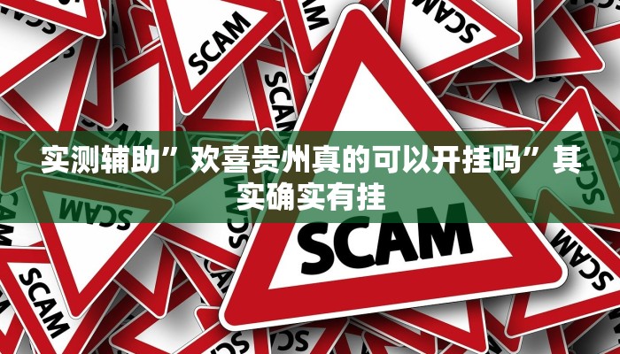 实测辅助”欢喜贵州真的可以开挂吗”其实确实有挂