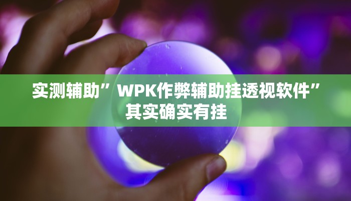 实测辅助”WPK作弊辅助挂透视软件”其实确实有挂