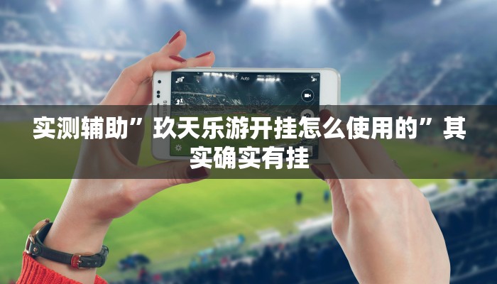 实测辅助”玖天乐游开挂怎么使用的”其实确实有挂