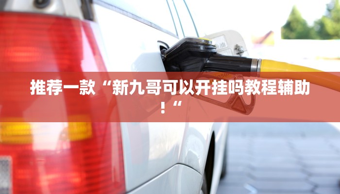 推荐一款“新九哥可以开挂吗教程辅助!“