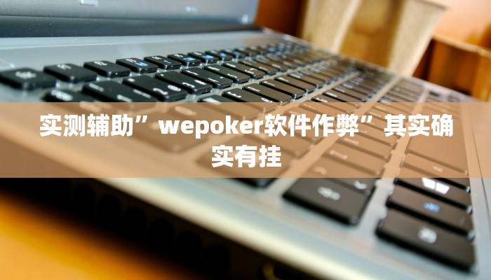 实测辅助”wepoker软件作弊”其实确实有挂