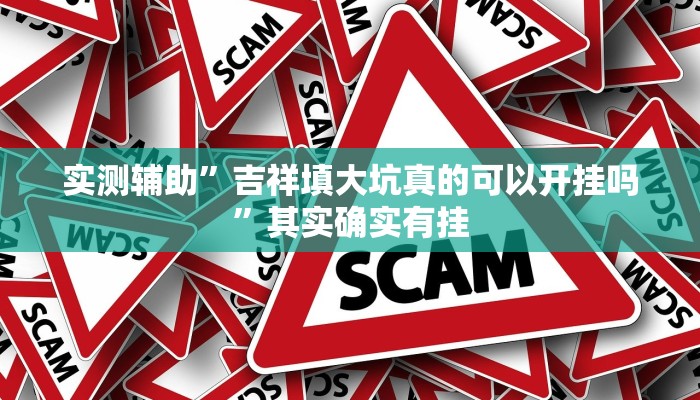 实测辅助”吉祥填大坑真的可以开挂吗”其实确实有挂