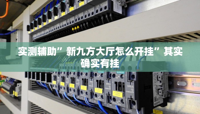 实测辅助”皮皮湖北麻将用挂开挂软件”其实确实有挂