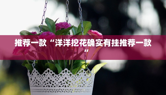 推荐一款“洋洋挖花确实有挂推荐一款“