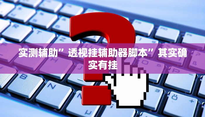实测辅助”透视挂辅助器脚本”其实确实有挂