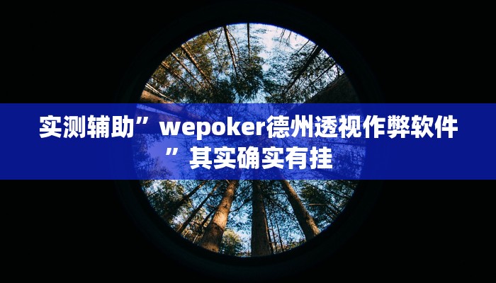 推荐一款“家乡大贰开挂器”开挂详细教程