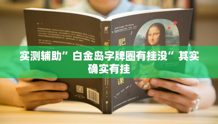 实测辅助”白金岛字牌圈有挂没”其实确实有挂