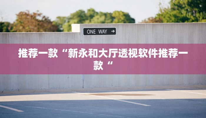 推荐一款“新永和大厅透视软件推荐一款“