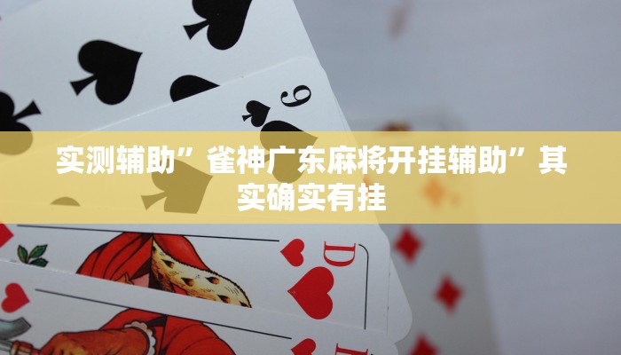 实测辅助”雀神广东麻将开挂辅助”其实确实有挂