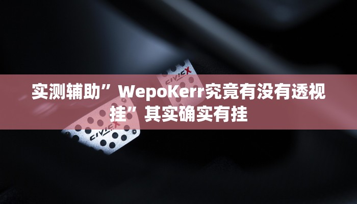 实测辅助”WepoKerr究竟有没有透视挂”其实确实有挂